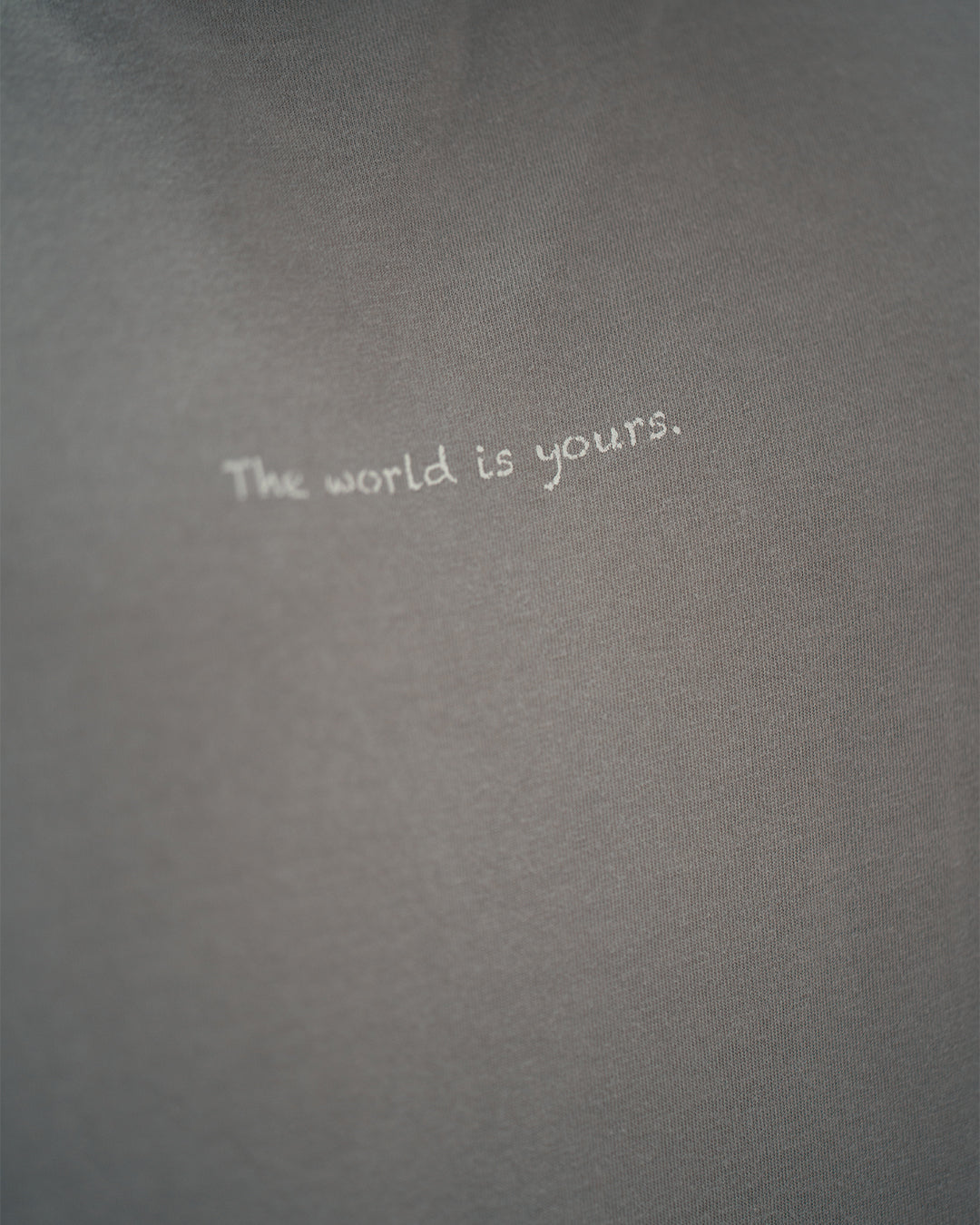 DANNY X KAIZEN OVERSIZED THE WORLD IS YOURS T-SHIRT